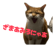 834575662