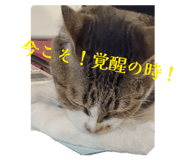 834575663