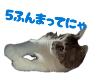 834575668