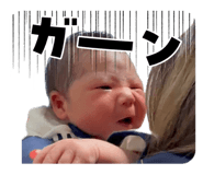 834575790