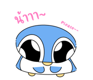 834576062