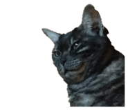 834576190
