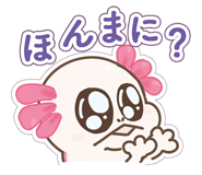 834584977