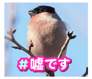 834587632