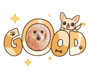 834605065