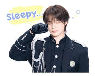 ลายที่ 29