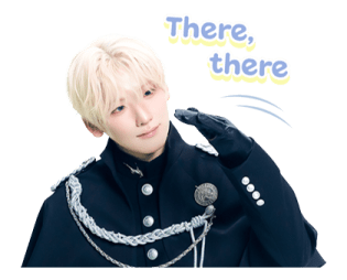 ลายที่ 43