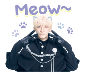 ลายที่ 45