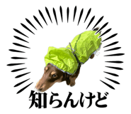 834622595
