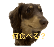 834622596