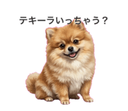834622817