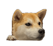 834668482