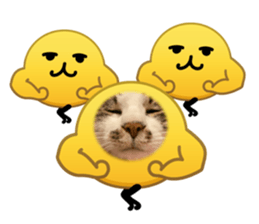 834669553