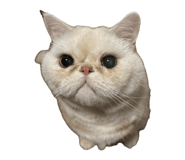 834670730