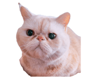 834670734