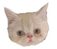 834670737