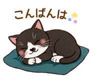 834707164