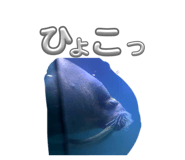 834708261