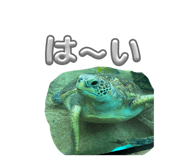 834708264