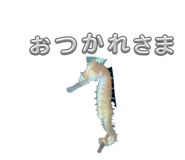 834708272