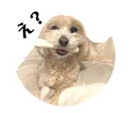 834708872