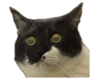 834709197