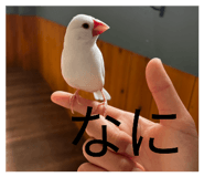 834710175