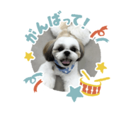 834729367