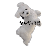 834730395