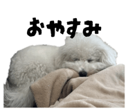 834730404