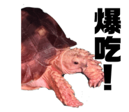 834733281