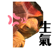 834733285