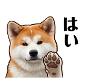834736116