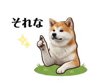 834736122