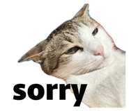 834737652