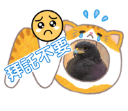 834767560