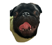 834768918