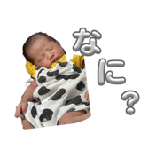 834769362