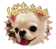 834774778