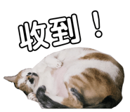 834776650