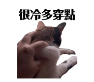 834776659