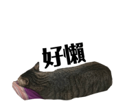 834776672