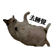 834776675