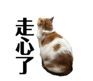 834776676