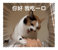 834776684