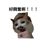 834776686