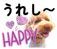 834777218