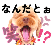 834777220