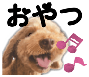 834777230