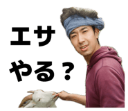 834777464